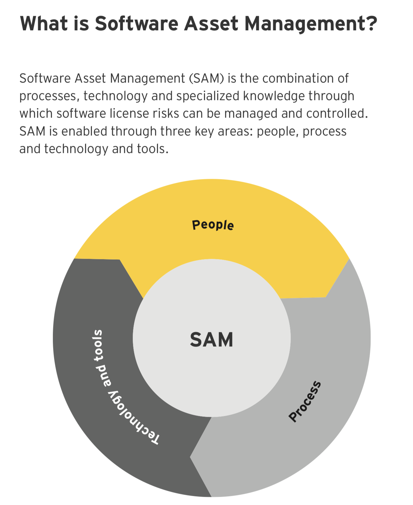 Software Asset Management