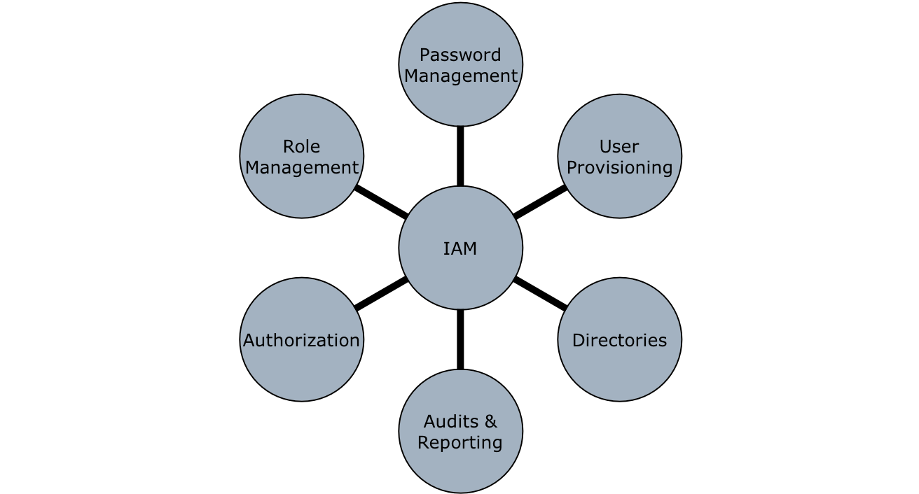 Identity and Access Management Model