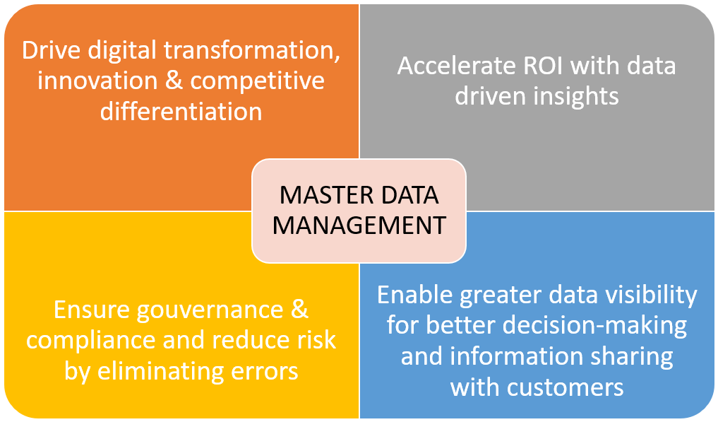 MASTER DATA MANAGEMENT